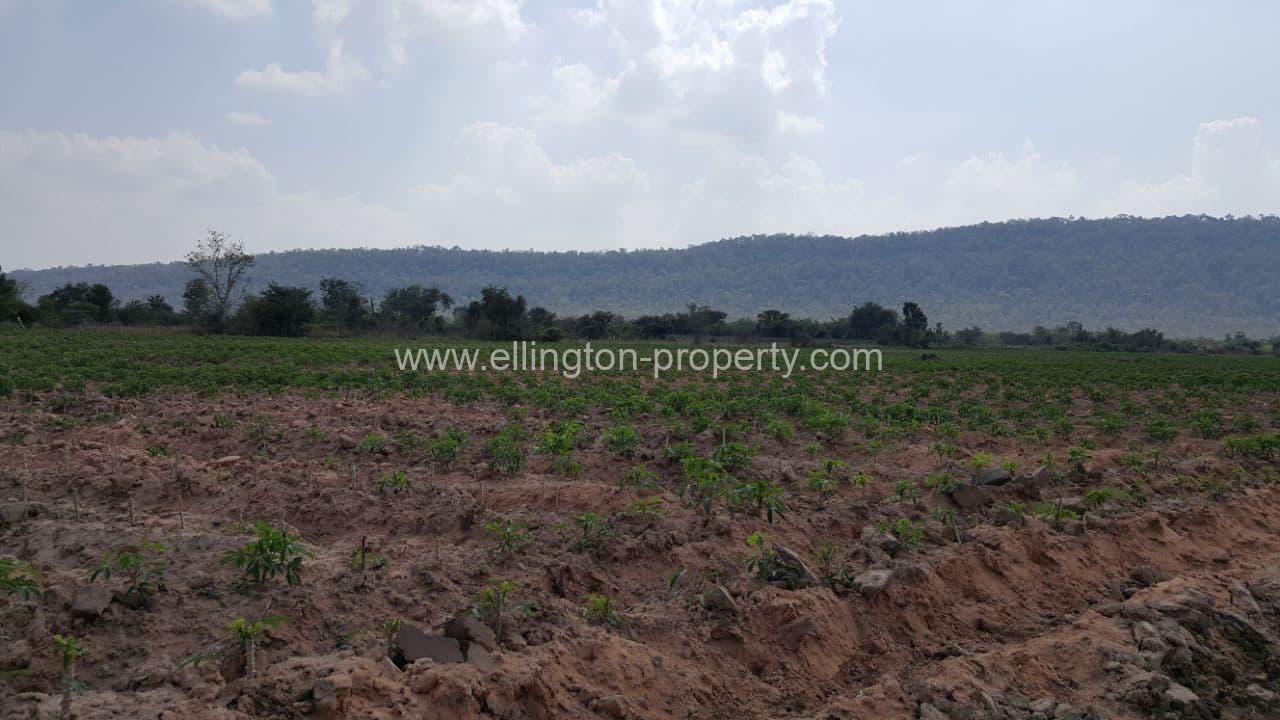 Land For Sale In Rukhak Kiri, Battambang - Ellington Property