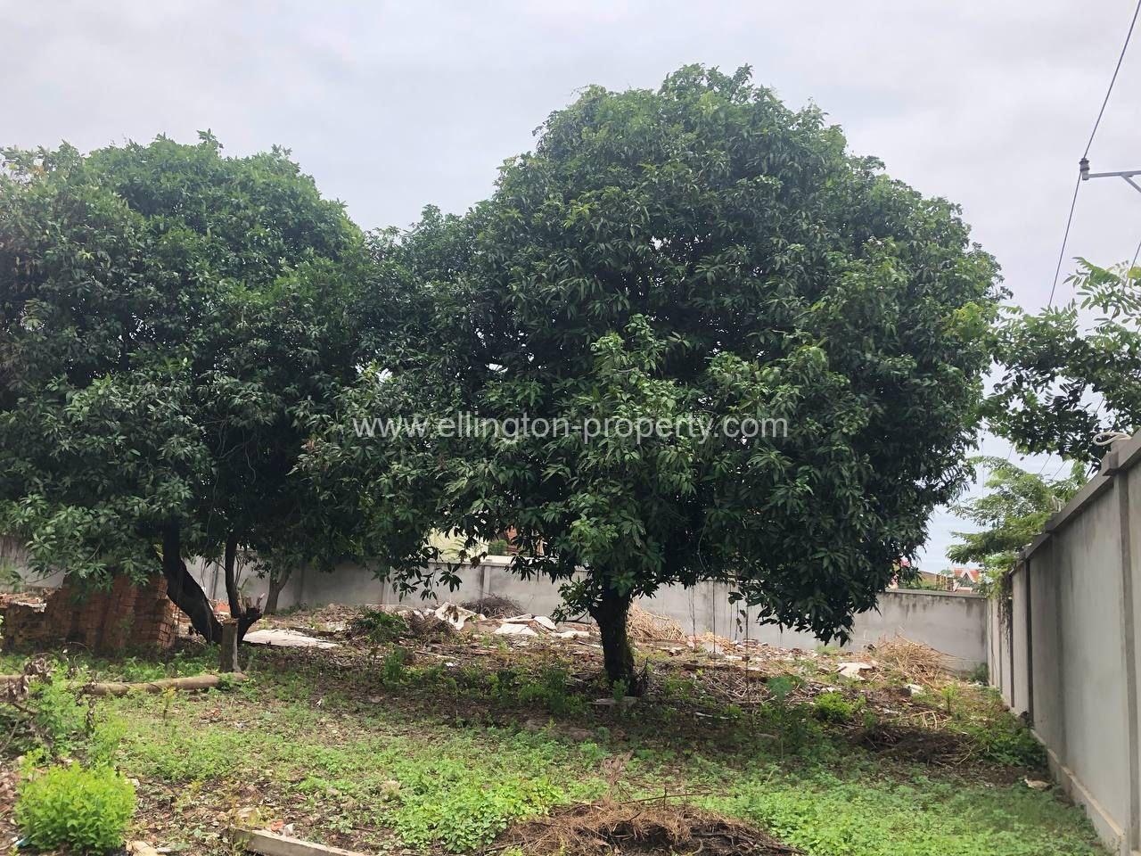 Land For Rent In Chroy Changvar - Ellington Property