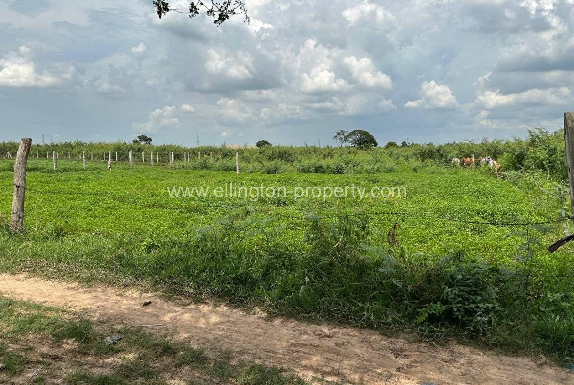 Land For Sale In Kandal Province  - Ellington Property