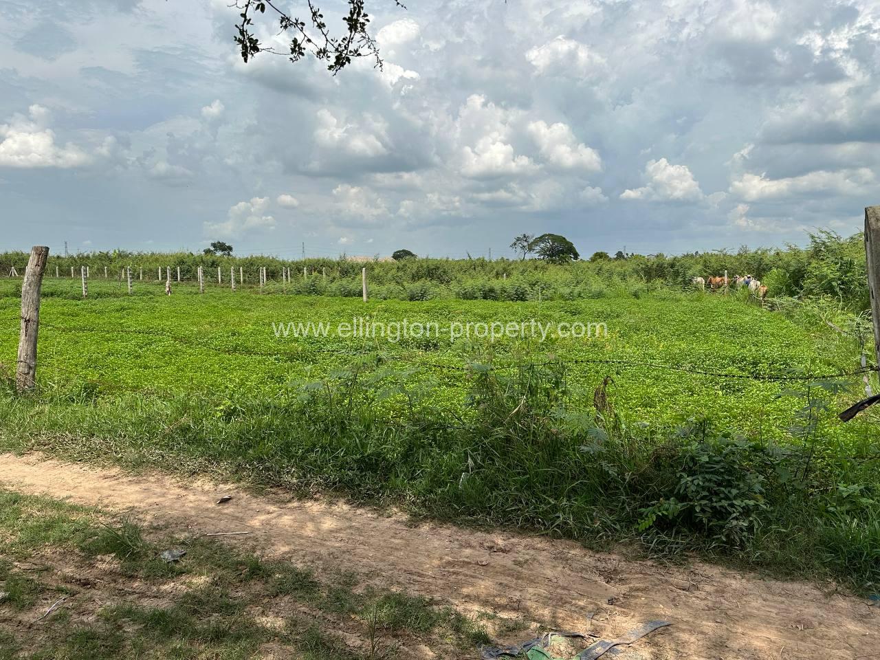 Land For Sale In Kandal Province  - Ellington Property