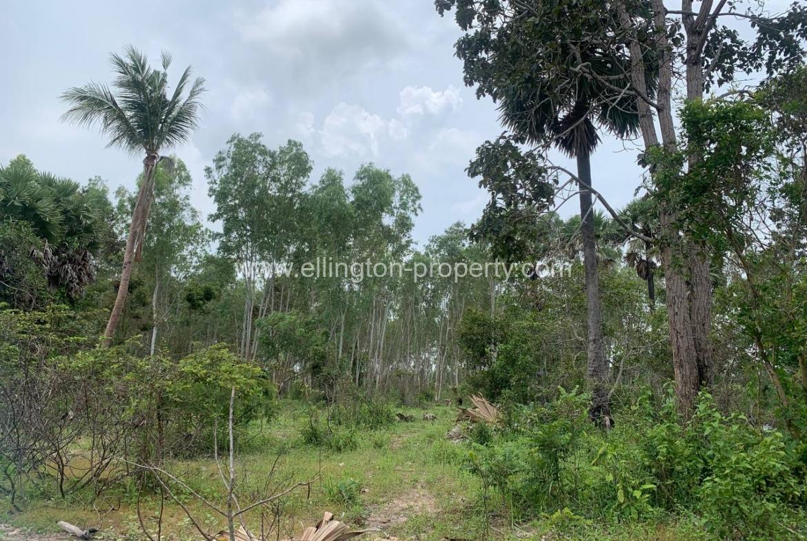 Land For Sale In Siem Reap - Ellington Property