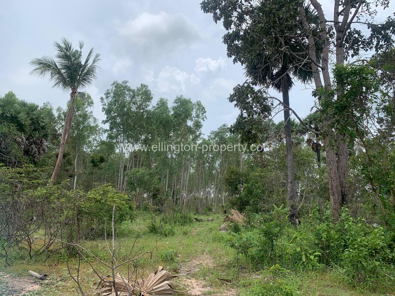 Land For Sale In Siem Reap - Ellington Property