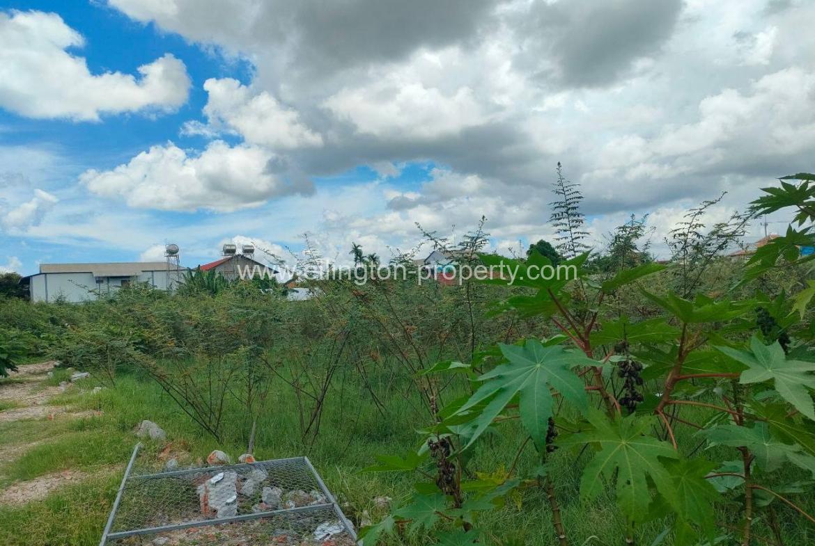 Land For Sale In Siem Reap - Ellington Property