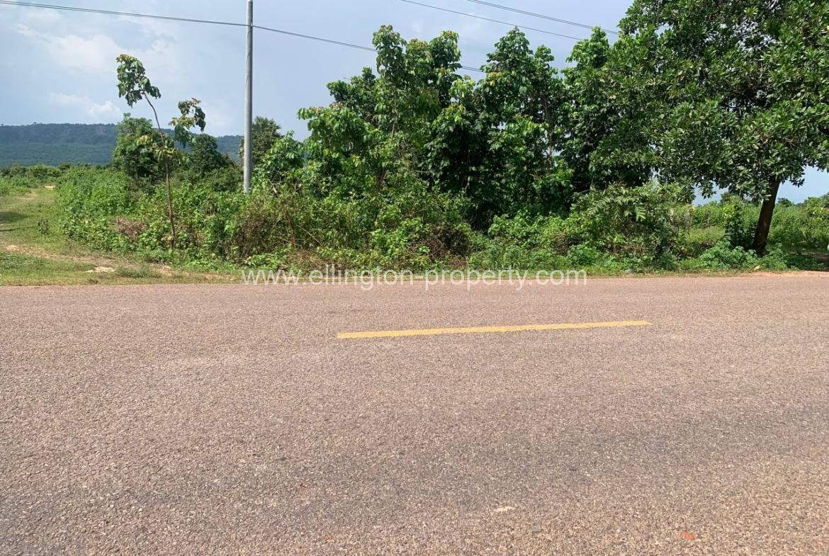 Land For Sale In Siem Reap - Ellington Property