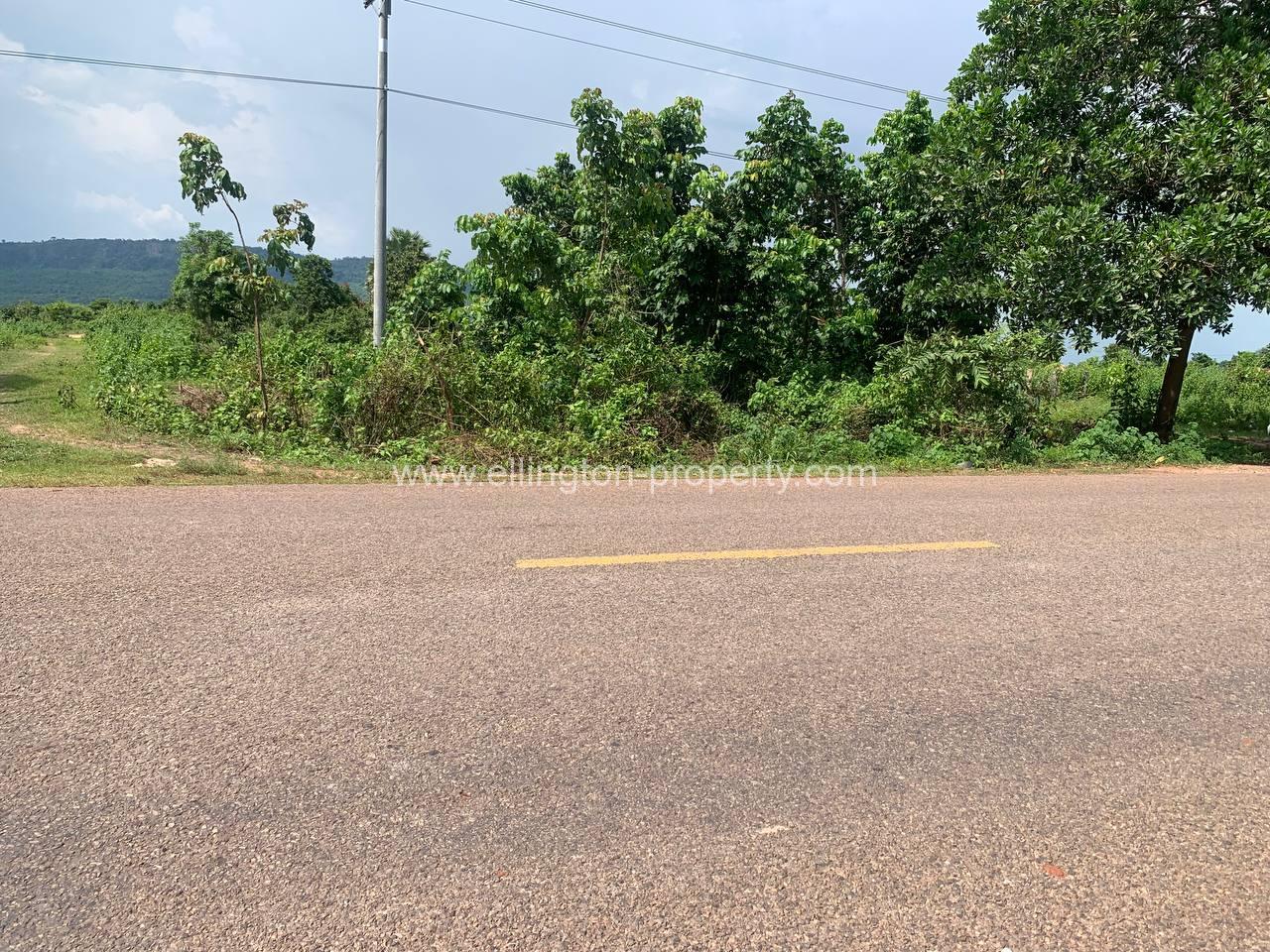 Land For Sale In Siem Reap - Ellington Property