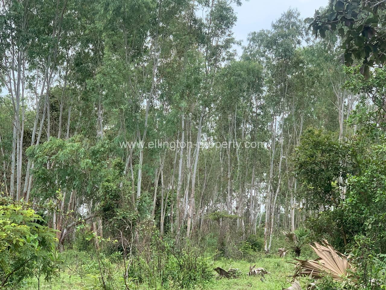 Land For Sale In Siem Reap - Ellington Property