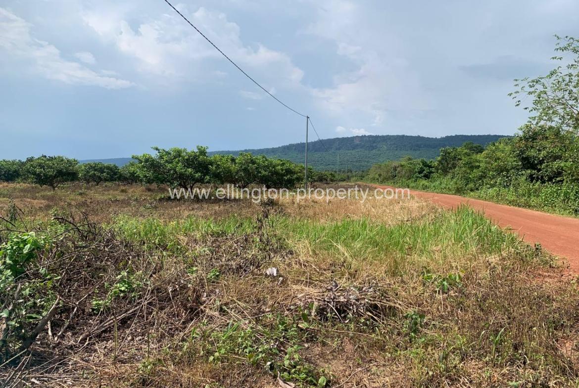 Land For Sale In Siem Reap - Ellington Property