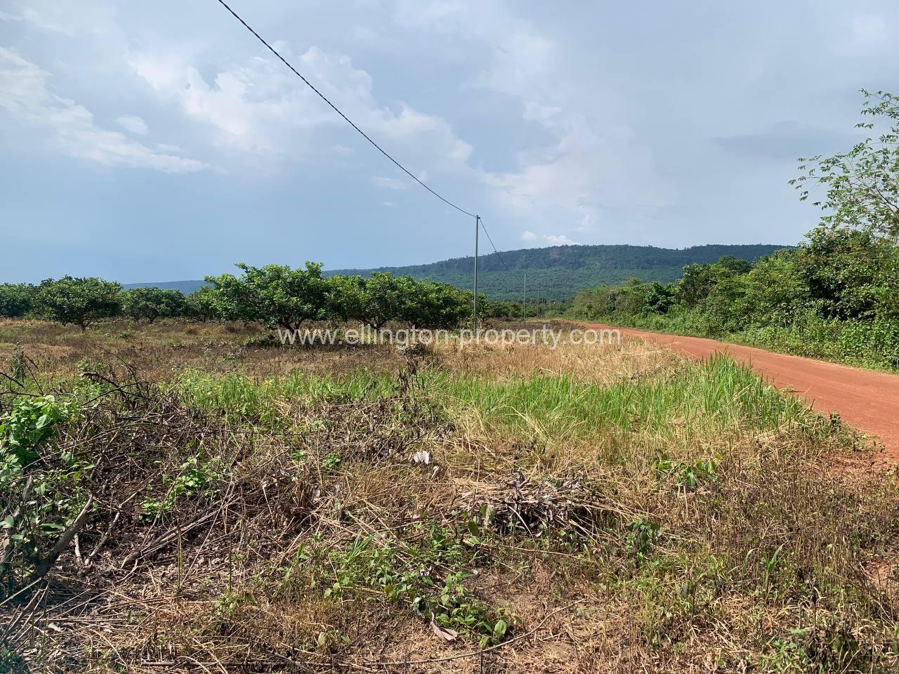 Land For Sale In Siem Reap - Ellington Property