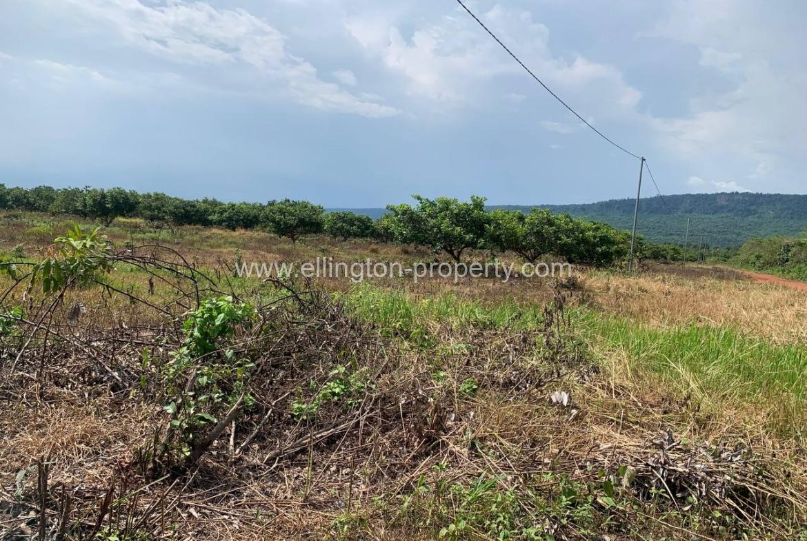 Land For Sale In Siem Reap - Ellington Property