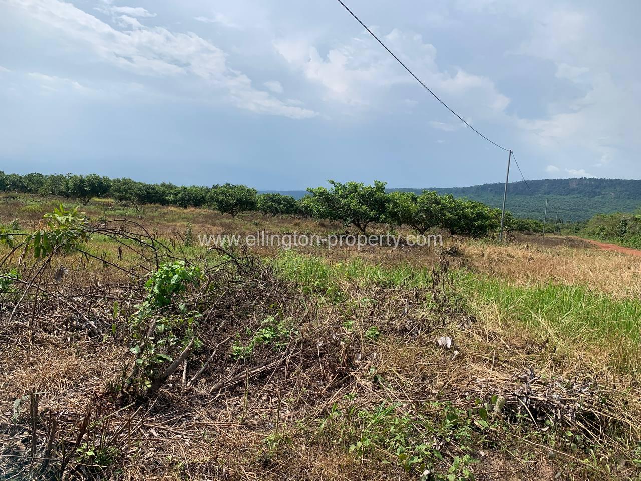 Land For Sale In Siem Reap - Ellington Property