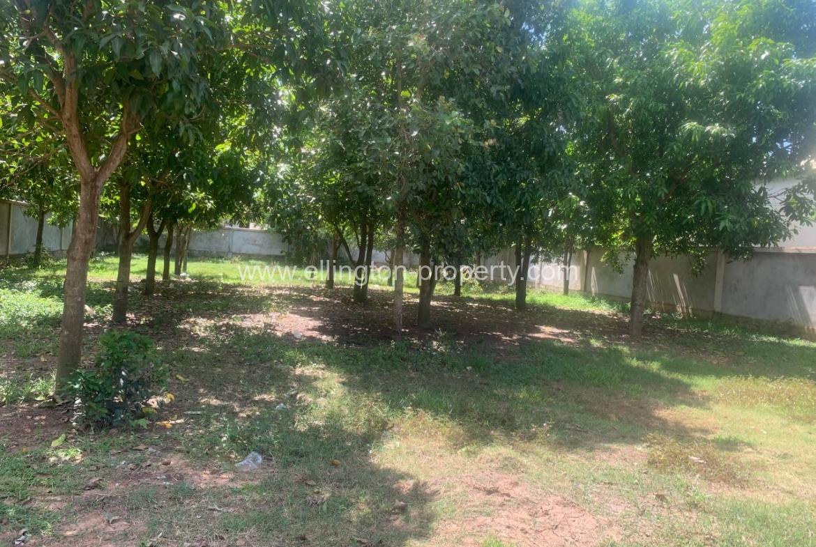 Land For Sale In Siem Reap - Ellington Property