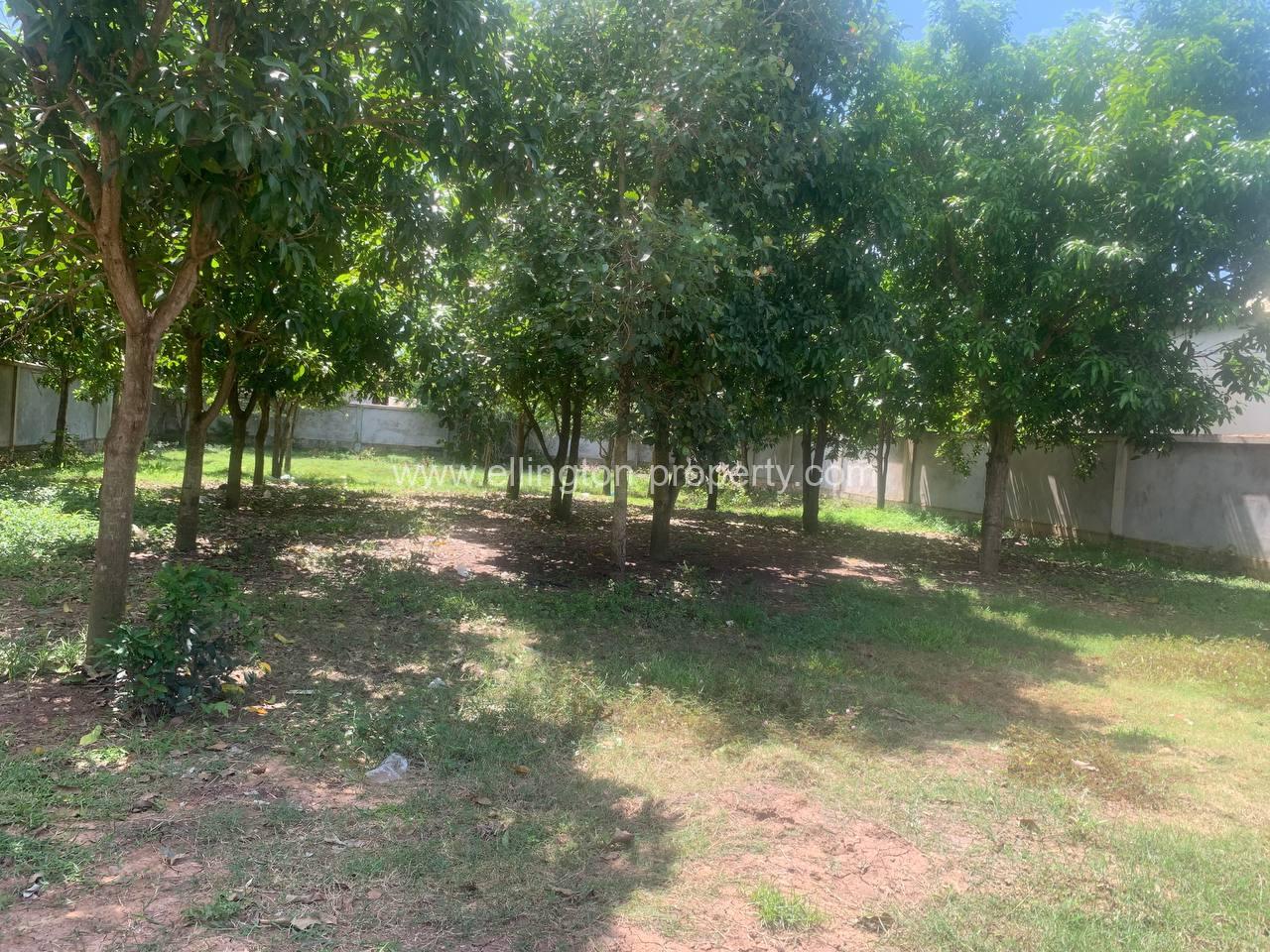 Land For Sale In Siem Reap - Ellington Property