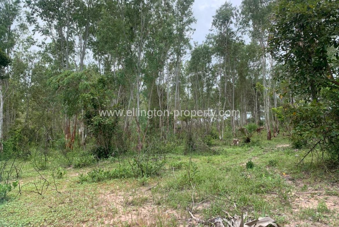 Land For Sale In Siem Reap - Ellington Property