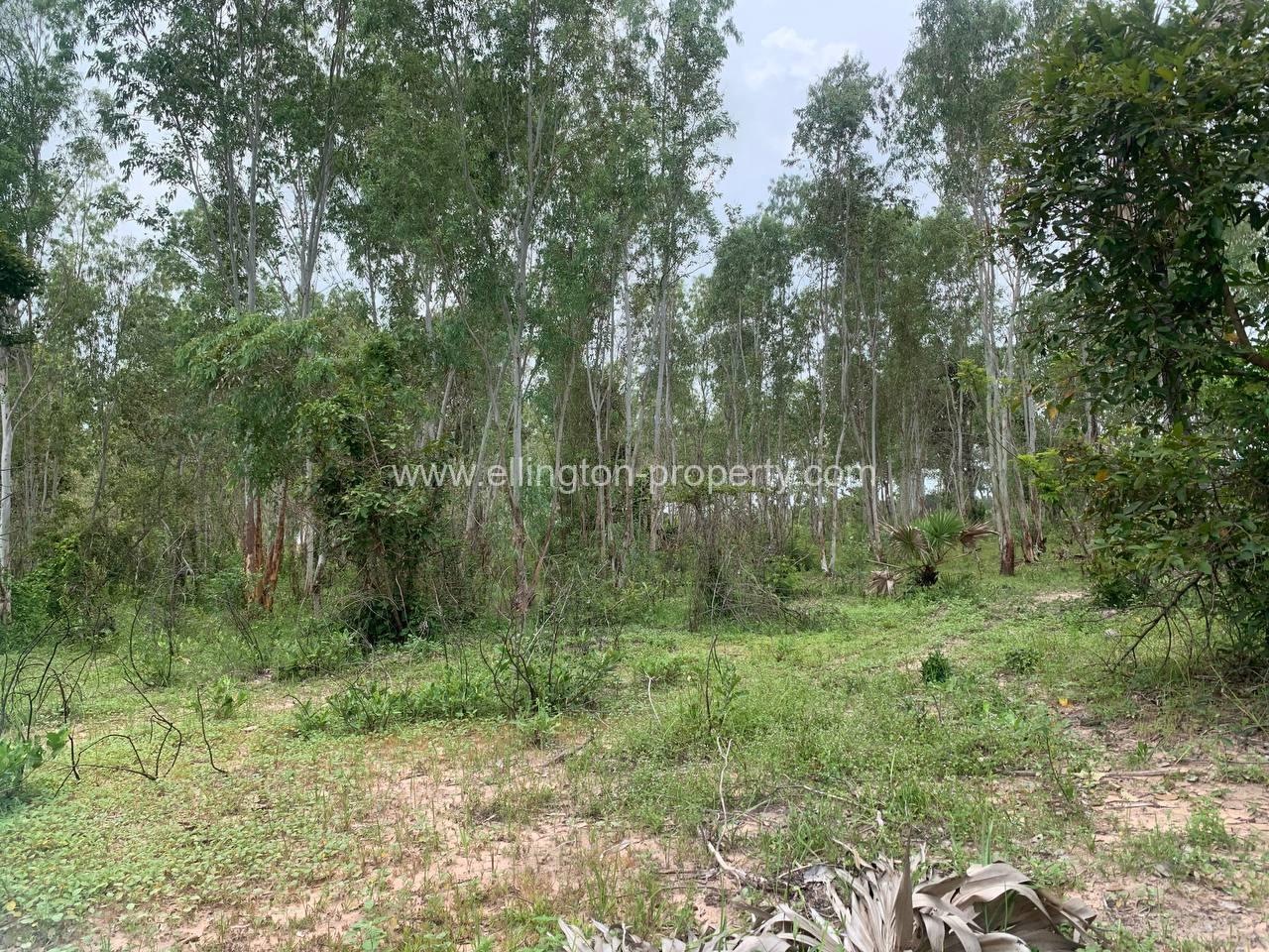 Land For Sale In Siem Reap - Ellington Property