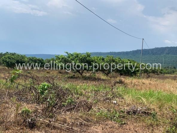 Land For Sale In Siem Reap - Ellington Property