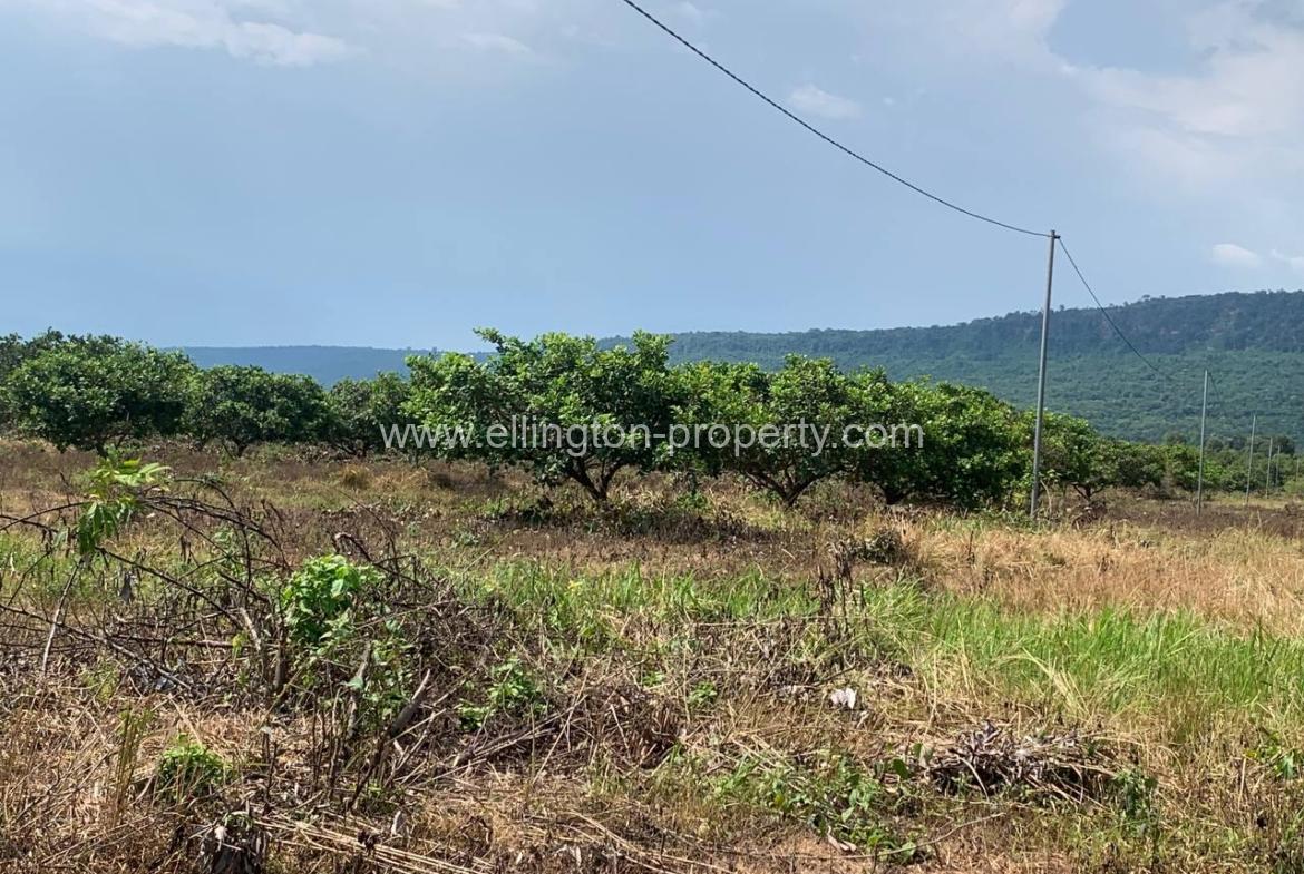 Land For Sale In Siem Reap - Ellington Property