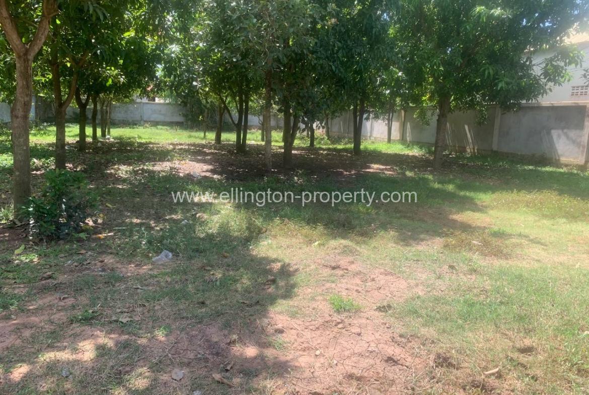 Land For Sale In Siem Reap - Ellington Property