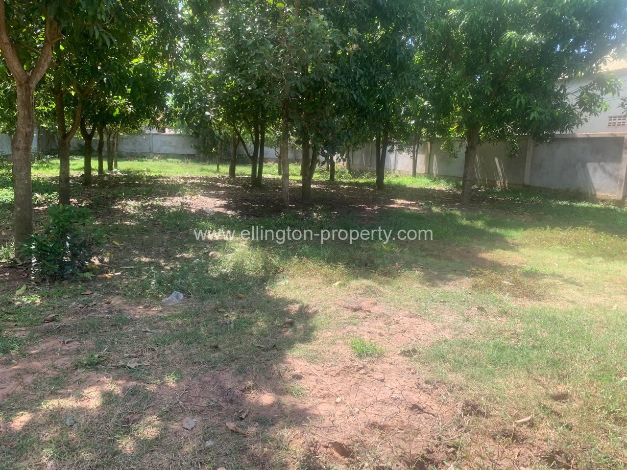 Land For Sale In Siem Reap - Ellington Property