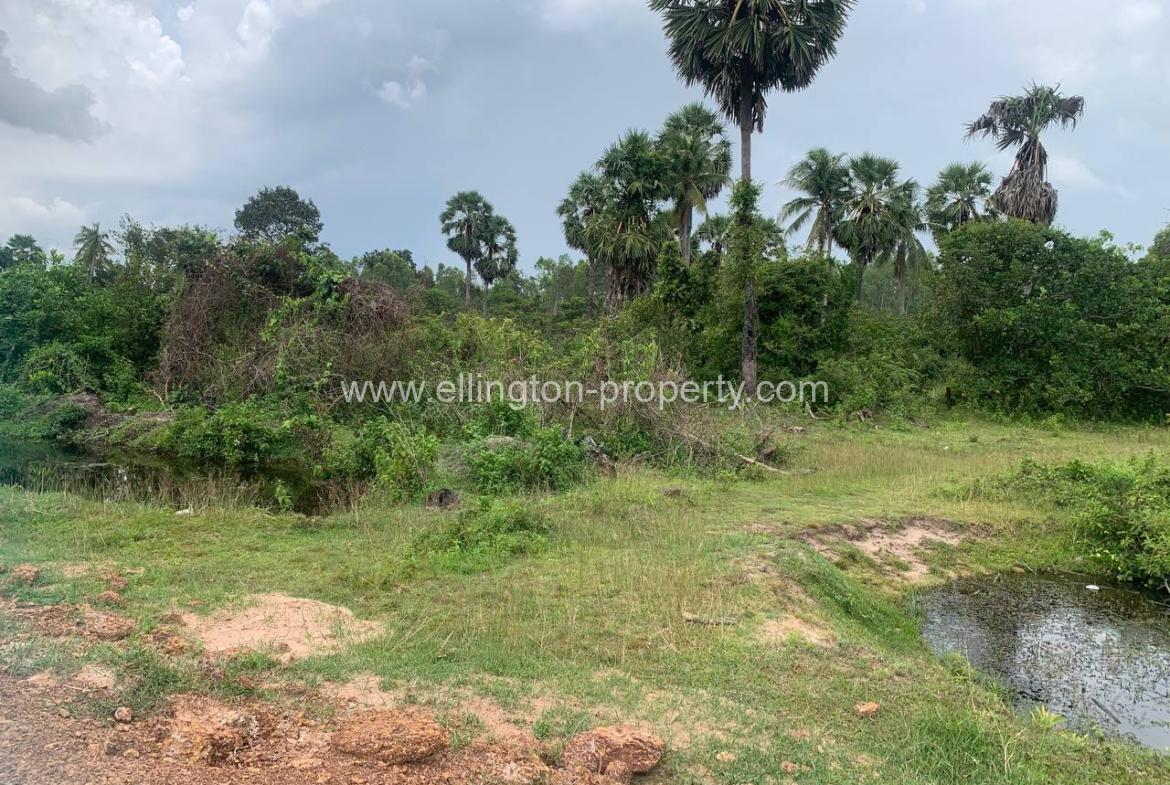 Land For Sale In Siem Reap - Ellington Property