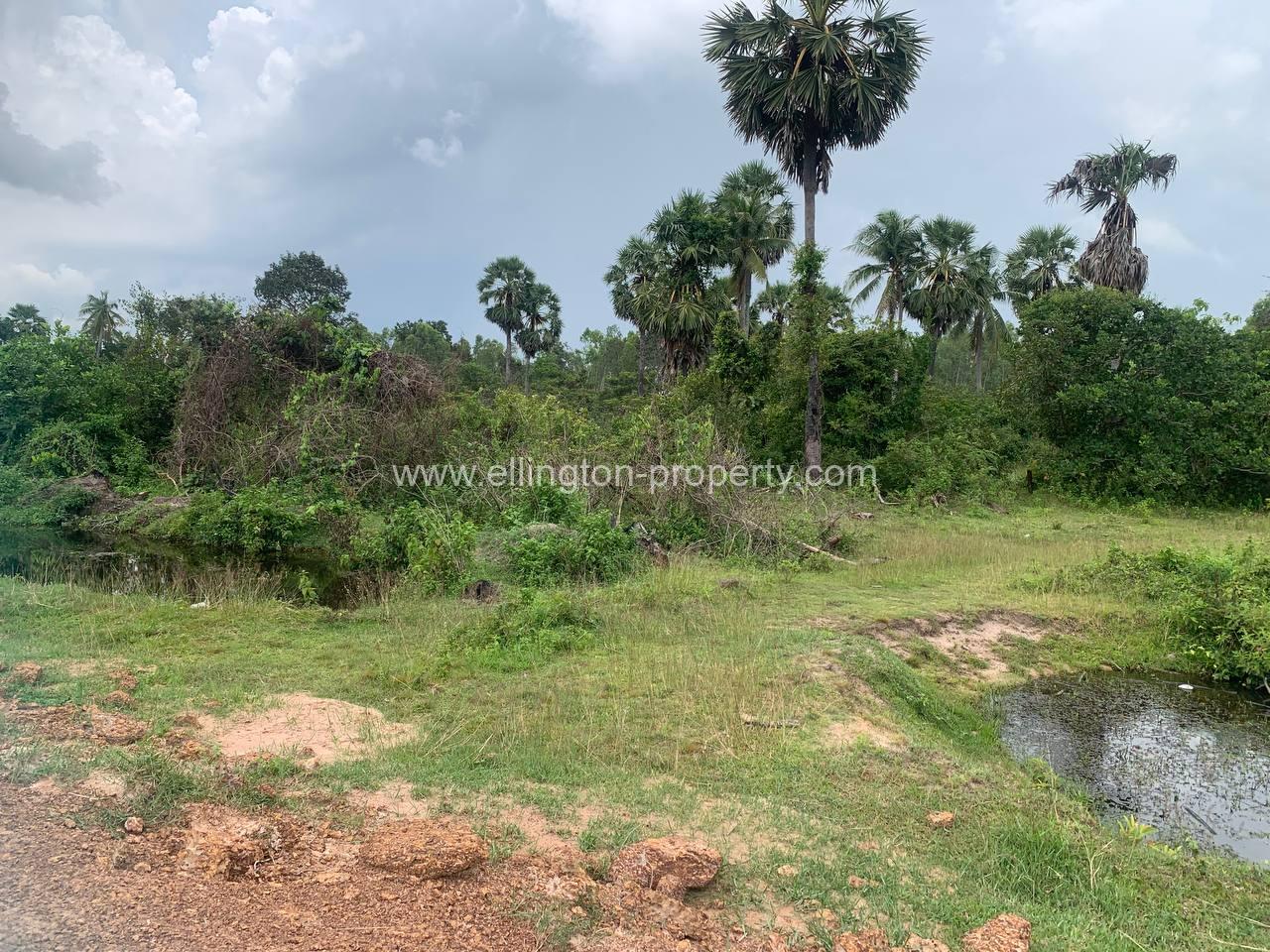 Land For Sale In Siem Reap - Ellington Property