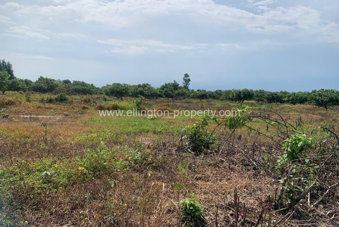 Land For Sale In Siem Reap - Ellington Property