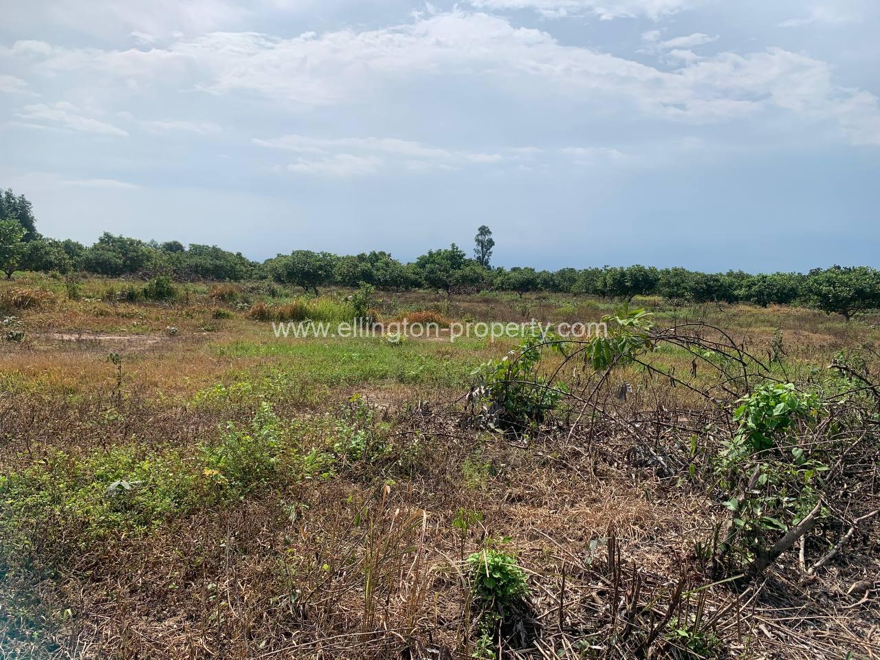 Land For Sale In Siem Reap - Ellington Property