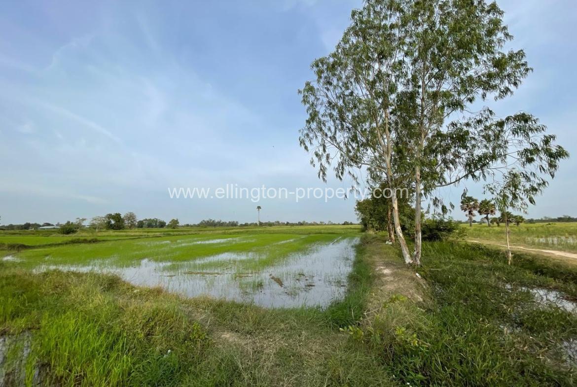 Land For Sale Near New Airport - Ellington Property